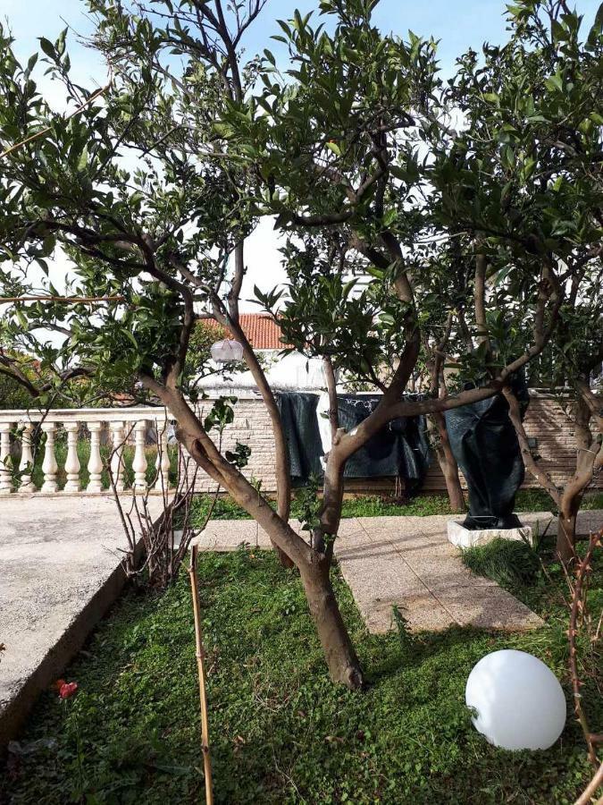 Apartment "Kamelia"Cavtat Exteriör bild